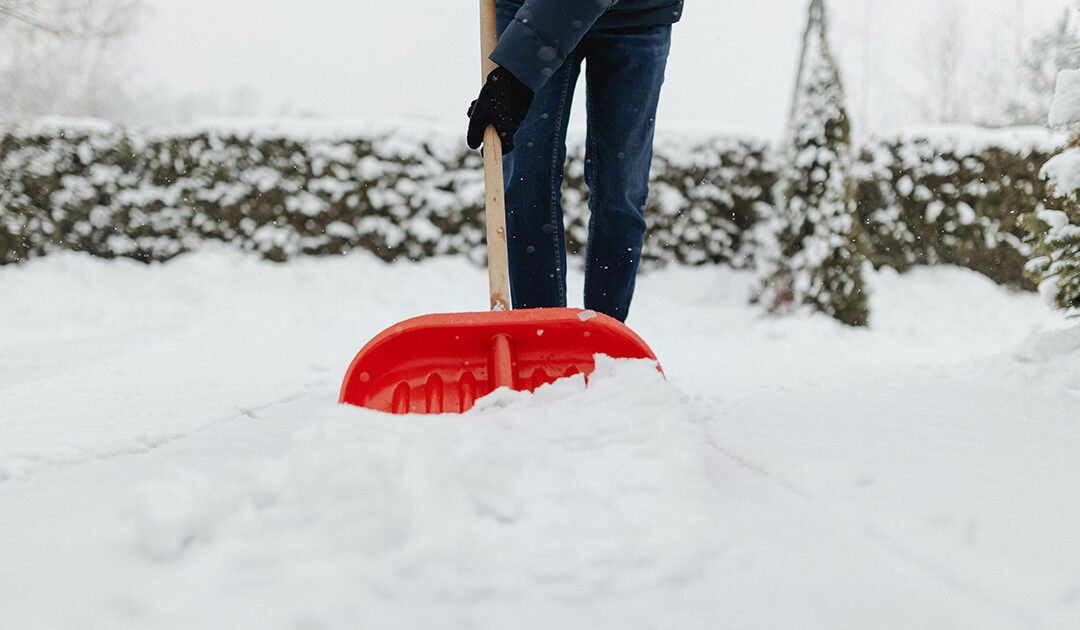 Stretches & Exercises for Post-Shoveling